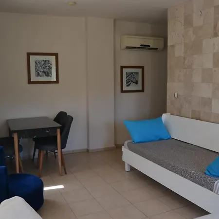 Safarı Suıt